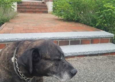 Resized_20190630_102942_115396974896446_1714861925809